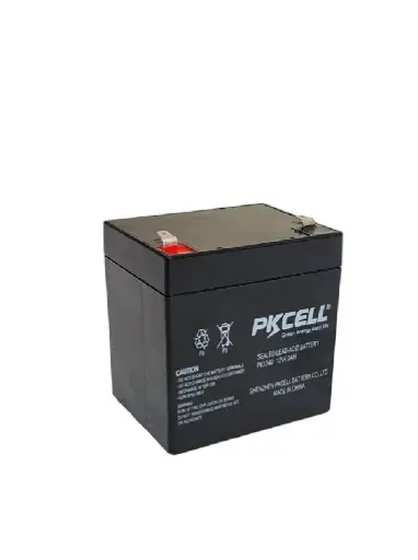 [00346] BATERIA PKCELL 12V 4.5Ah